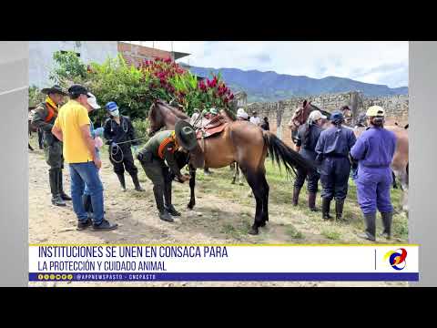 #CNCNoticiasPasto|  Instituciones se unen en Consacá para la protección y cuidado animal