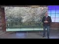 Mike S Take Why Is DC Enraptured By Cherry Blossoms