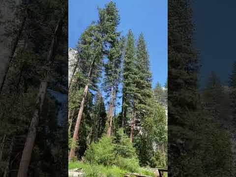 Yosemite Valley Is Heaven On Earth🏞️