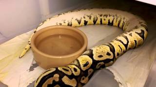 Top tip #9......upside down 😁