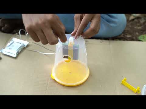 FRUIT FLY TRAP APPROVED BY ICAR-CISH