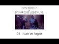 05 Auch Im Regen Rosenstolz Das Grosse Leben LIVE 2006