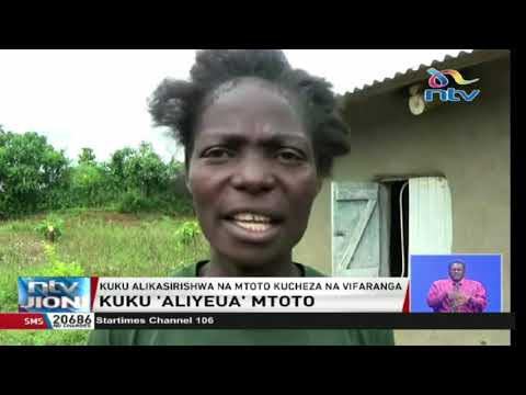 Kakamega: Mtoto wa miezi 6 afariki baada ya kuvamiwa...