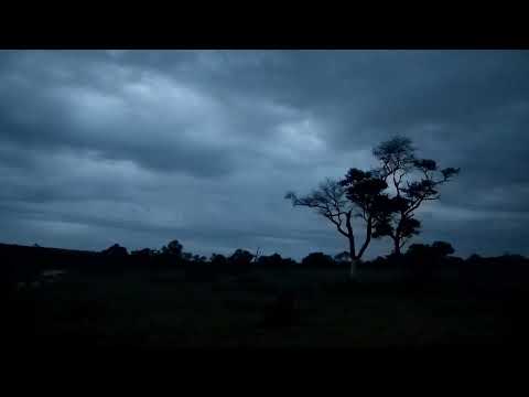 Djuma: Storm clouds in the distance - 04:46 - 10/26/2022