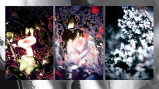 Kassem Mosse / Simone White - "Flowers in May"