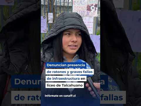 En liceo A-21 de Talcahuano denuncian presencia de ratones y graves fallas de infraestructura