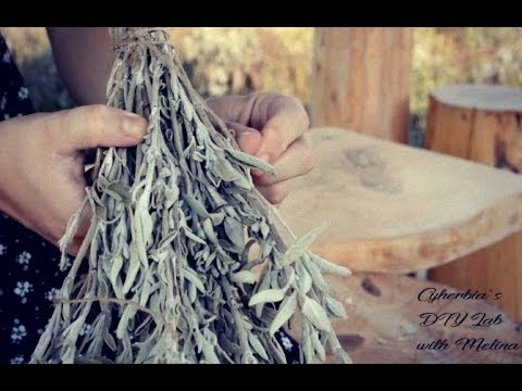 image-Can you use regular sage for smudging?