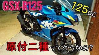 【GSX-R125】小型二輪：125ccってどうなの!?小型自動二輪に乗ってみての感想【慣らし中 in 愛媛 /原付二種 / Motovlog】