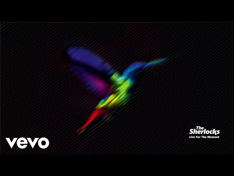 The Sherlocks - Live For The Moment (Official Audio)