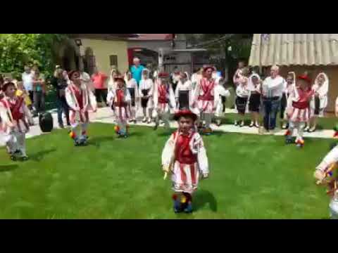 Calusul jucat in curtea calusarului Ilie Braileanu din Valcele