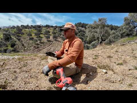 Dakkin SC8611 ve Teleskopik Kol İncir Budama