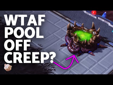 WTAF Spawning pool off creep!? (Best & Worst Auditions) | Smooth Brain Auditions Season 2 Ep 3