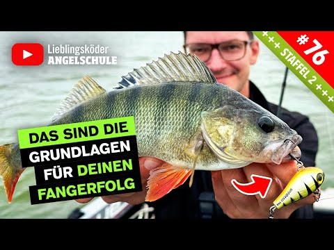SpinMad RICHTIG führen – Profi-Tipps für MEHR Bisse! 🤩🎣👍🏼