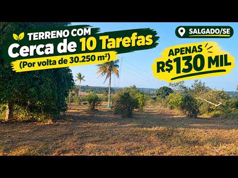 ÁREA DE TERRA À VENDA POR R$ 130 MIL EM SALGADO/SE | 10 TAREFAS (30.250 M²)