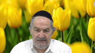 שיחה על עניינים בפרשת חוקת תשפה בעברית (הרב מיכאל שושן) - התמונה מוצגת ישירות מתוך אתר האינטרנט יוטיוב. זכויות היוצרים בתמונה שייכות ליוצרה. קישור קרדיט למקור התוכן נמצא בתוך דף הסרטון