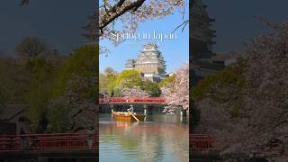 Just a 1-hour trip from Osaka to catch the sakura here🌸 #japantravel#travelvlog#sakura#himeji