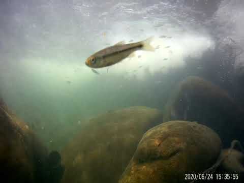 2020 0624 153453 105