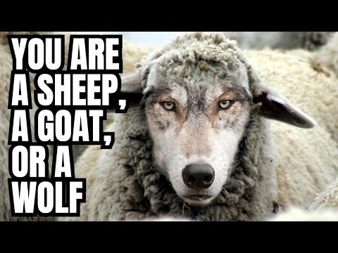 You are a sheep, goat, or wolf #shorts - Remnant Messengers