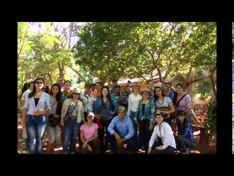 DISCIPLINA DE AGROECOLOGIA DOURADOS, MS 2015
