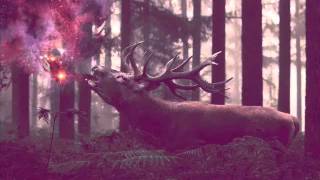 Gesaffelstein - Viol (Neus Orgasm remix)