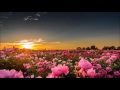 Said The Sky - Nostalgia (Ft. Missio) 