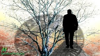 Alzheimer’s Disease, Copper, and Saturated Fat