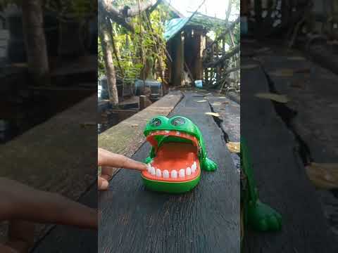 Alligator on d bridge #shorts #shortsfeed #satisfying #asmr #shortsvideo #alligator #toys