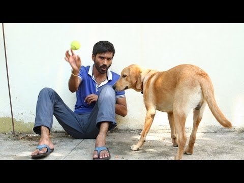 download lagu mp3 mp4 Vip Movie Pics, download lagu Vip Movie Pics gratis, unduh video klip Vip Movie Pics