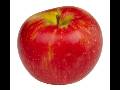 Apple Cider Vinegar Recipe Diet - YouTube