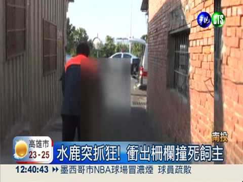 水鹿突抓狂! 衝出柵欄撞死飼主