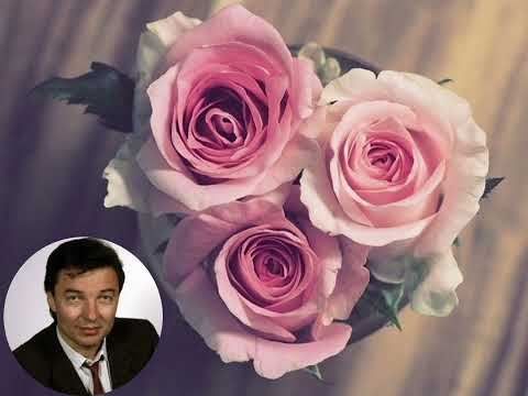 Měl jsem rád a mám. Zpěv: Karel Gott.