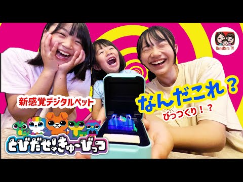 【とびだせ！きゅーびっつ】なぜかHIKAKINさんから指令が来たんだけど！？れのれらTV【#1933】