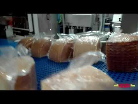 Frimaq Model VCC-Plus BC Vacuum Packaging Machine