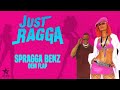 Spragga Benz - Dem Flap (Official Audio) | Jet Star Music