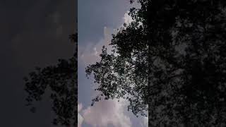 Download lagu monokrom🖤#shorts #shortvideo #short #share #status #sad mp3