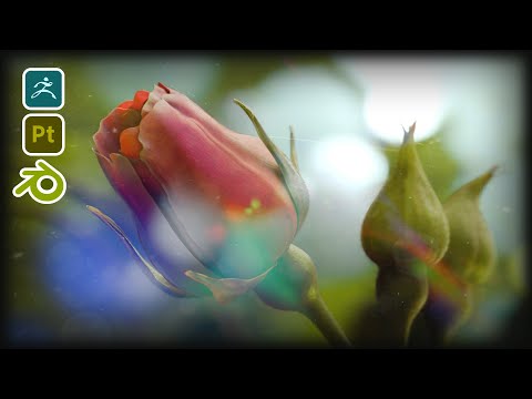 3D Flowers Scene 🌷 Blender & ZBrush & Substance Painter Full Process Timelapse