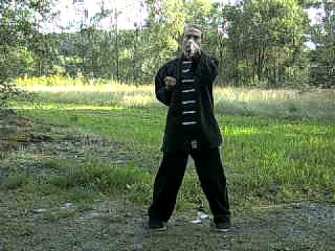 3rd Form of Wing Chun Kung Fu "Biu Tze"