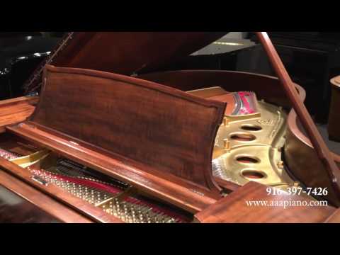 Steinway O Grand Piano | AAA Piano