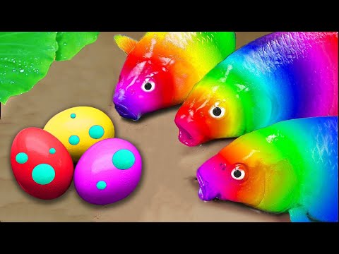 Yellow Vs Red Carp Compete For The King Of Crabs - Lessons About Greed - Stop Motion Fish In Mud