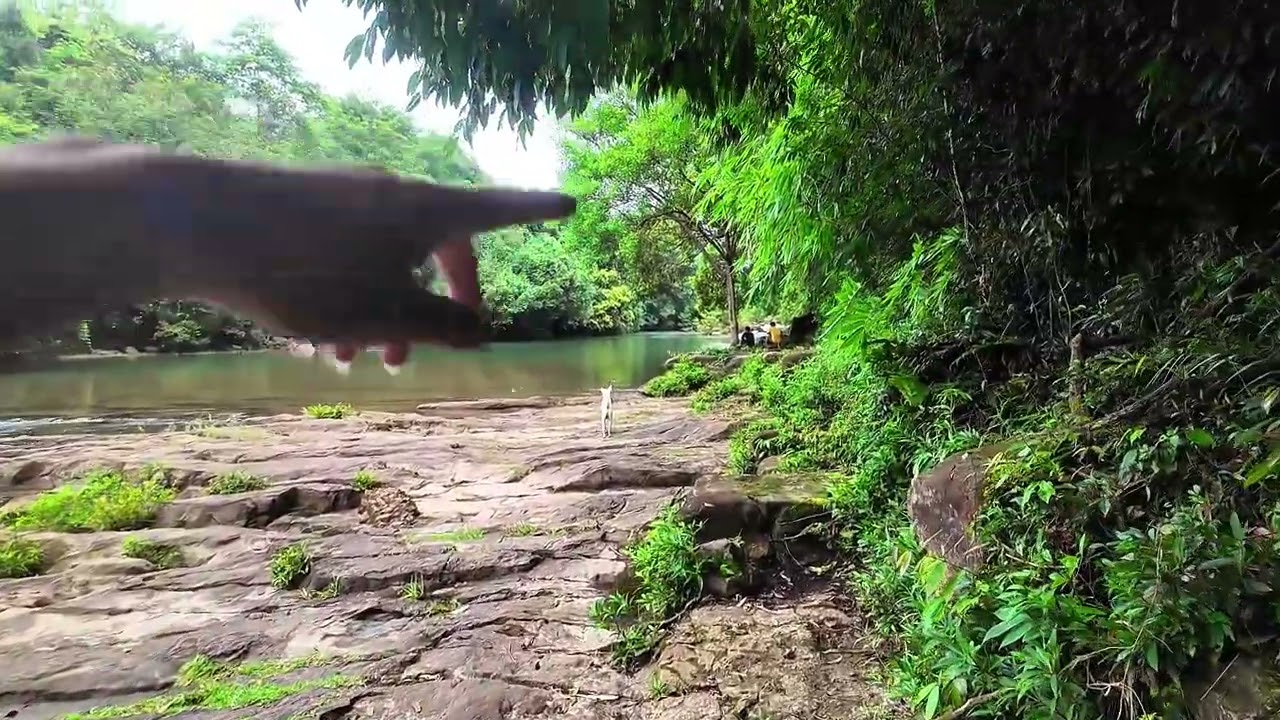 อุทยานแห่งชาติเขาใหญ่