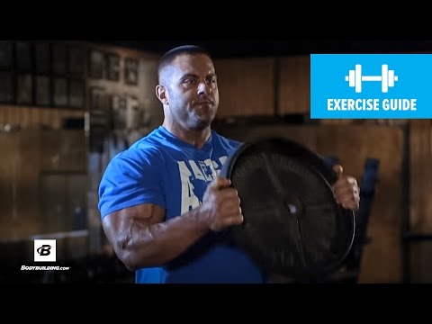 How To: Hammer Plate Curl | IFBB Pro Evan Centopani