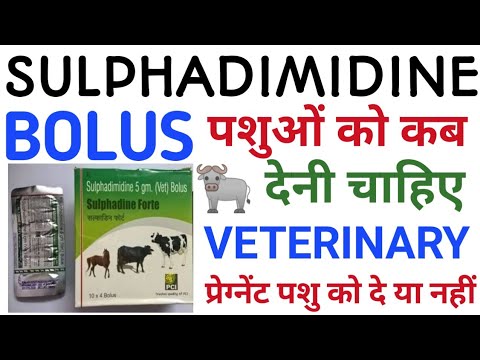 Medicine Grade ISO Sulphadimidine Bolus (Sulphadine), Packaging Type: Strip, 1*4