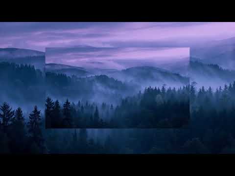 Fade Into Darkness (SUPER SLOWED TO PERFECTION + REVERB) - Narvent, (NEIN2558)