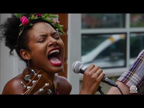 Birds of Chicago - "Alright Alright" - The Green House at Green River Festival