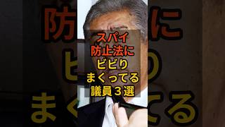 【3選】スパイ防止法にビビりまくってる議員 #政治 #自民党    #shorts   #高市早苗    VOICE:VOX 青山龍星 VOICE:VOX Nome