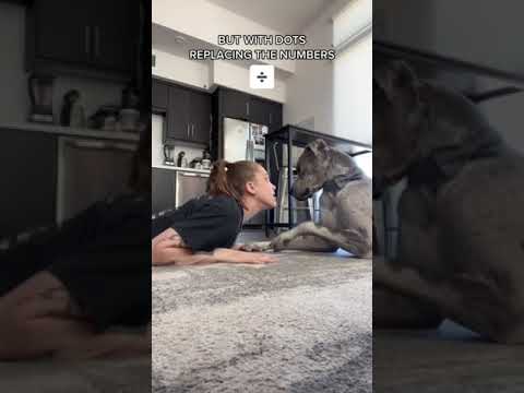 I Think My Dog Is Done With Me 😢🐶 w OnlyJayus - #Shorts