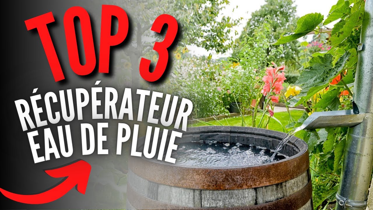Meilleur Récupérateur Eau de Pluie 2023