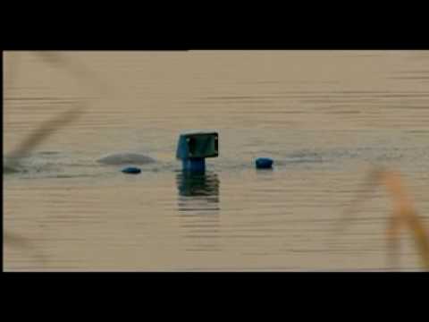 Herr Pilipenko und sein U-Boot (Kinotrailer)