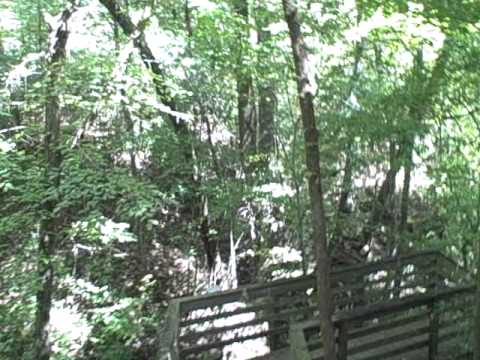 Devil's Millhopper Geological State Park Video 1