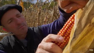 Thumbnail del capítulo